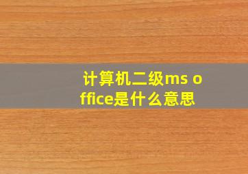 计算机二级ms office是什么意思